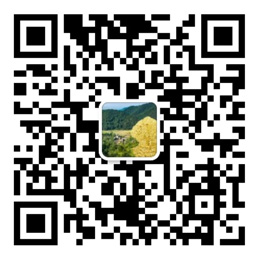 55世纪计划